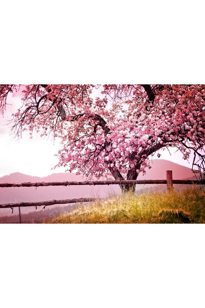 Zumzeria Tablou Canvas Blooming Apple Tree In Spring, 80x50cm, tabloucanvas806,