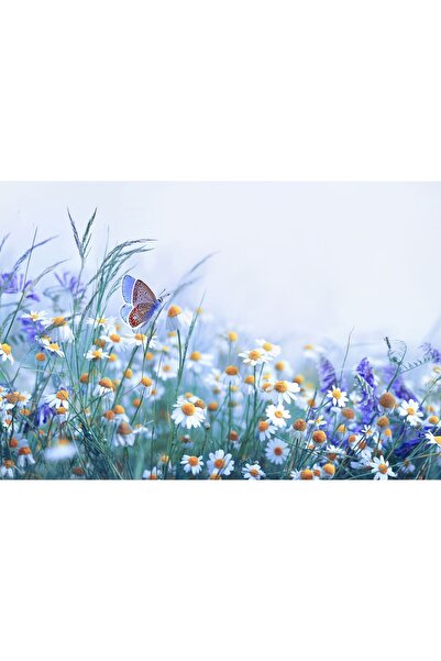 Zumzeria Tablou Canvas cu mușețel frumos și o atingere delicată de fluture, 8...