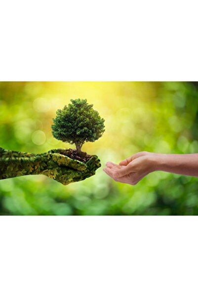 Zumzeria Tablou Canvas Natura este sensul unei vieți sănătoase, 80x50cm, tabl...