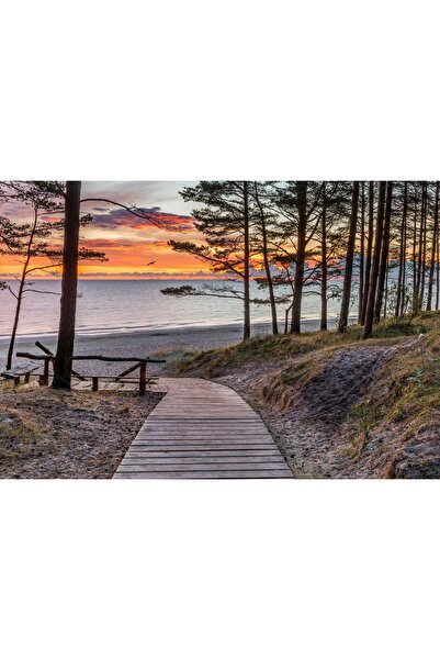 Zumzeria Tablou pânză coborând pe potecă spre plajă, 80x50cm, tabloucanvas891,