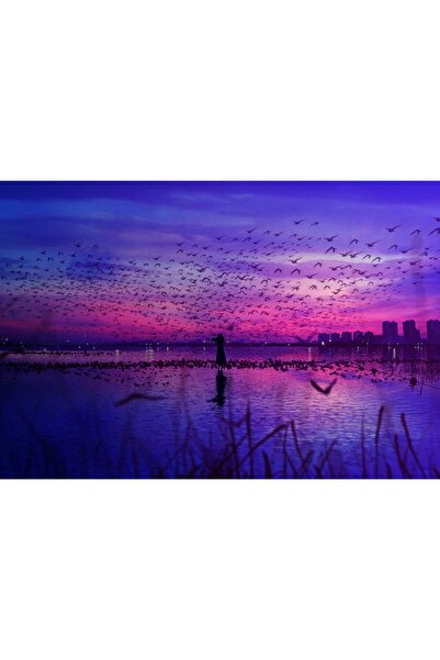 OEM Poster Cerul este scena și păsările cântă, 61x90cm, poster1624, Zumzeria