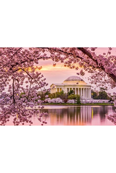 Zumzeria Tablou Canvas Charming Cherry Blossoms In D.C., 80x50cm, tabloucanva...