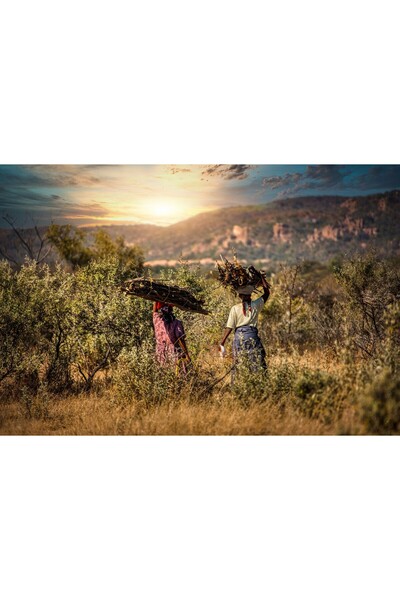 Zumzeria Tablou Canvas Muncă grea la țară, 80x50cm, tabloucanvas949,