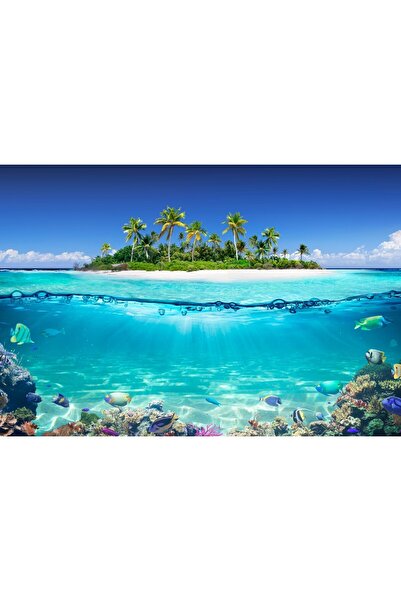 Zumzeria Tablou Canvas Marine Wildlife And A Beach In Paradise, 80x50cm, tabl...