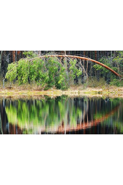 Zumzeria Tablou Canvas Simetria Copacului Reflectat în Lac, 80x50cm, tablouca...