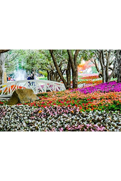 Zumzeria Pictură pe pânză Parc frumos primăvara, 80x50cm, canvaspainting1151,