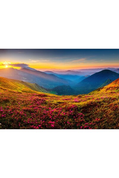 Zumzeria Tablou Canvas Loads Of Pink Wild Flowers on Carpathian Slopes, 80x50...