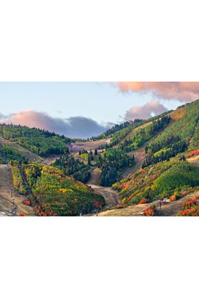 Zumzeria Таблу платно Цветна борова гора в планинските долини, 80x50 см, tabu...