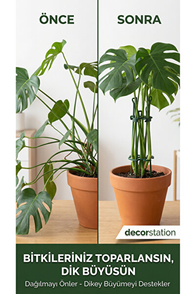 Decorstation Kalın Dallı Bitki Gövde Destek ve Sabitleme Klipsi | Dikey Büyüme İçin Pratik & BİTKİ TUTUCU(4lüSet)