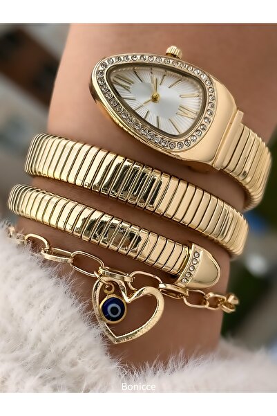 Bonicce Özel Hediyelik Kutuda Gümüş Renk Taşlı Yılan Model Kadın Kol Saati Bi...