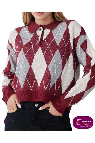 TAŞDELEN AVM Zenne Baklava Desenli Polo Yaka Triko Kazak