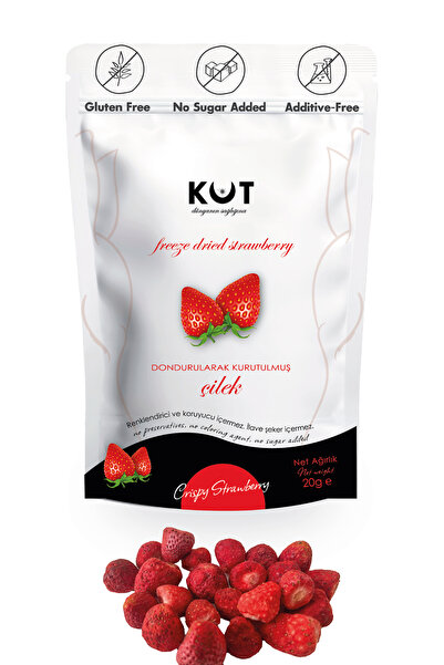 Freeze Dried Çilek Meyve Cipsi | Dondurularak Kurutulmuş Çilek 20 g