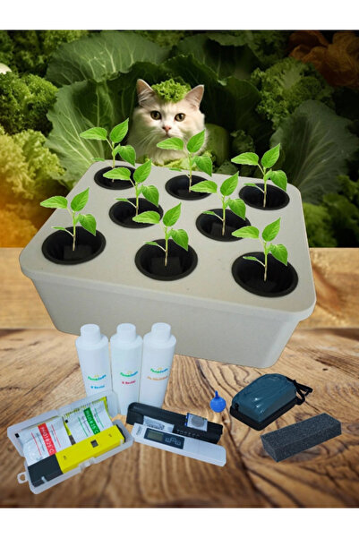 TarımSuda Topraksız Tarım Tam Set Beyaz Hidroponik Set Suda Tarım Hobi Seti