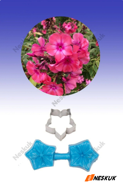 Neskuk Set of Stamp and Cutter for Flowers Dough Sculpting