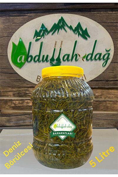 ABDULLAH DAĞ Hatay Yöresinden Doğal Salamura Deniz Börülcesi Turşusu 5 Litre