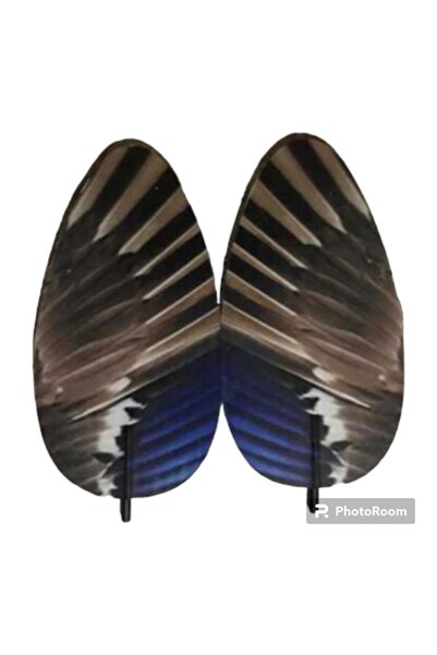 KRGZ 2020 Duck, Flicker și Mühre Wing