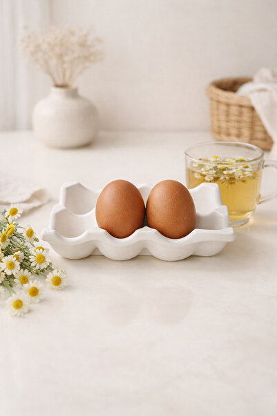 Phellos PhellosCo 6 Bölmeli Taş Tozu Yumurta Tutucu ve Mini Saksı – El Yapımı...