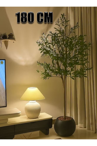 Cady One شجرة زيتون مع وعاء أسود لتصميم منزل أنيق 180 سم