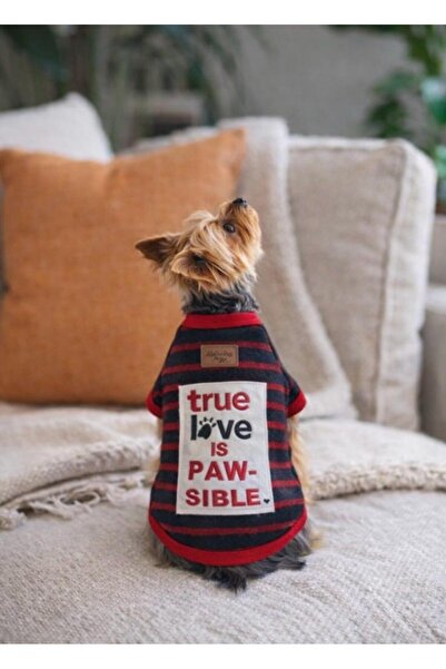 Alphadog سترة كلب من السلالة الصغيرة جدًا باللون الأسود True Love (مناسبة لوز...