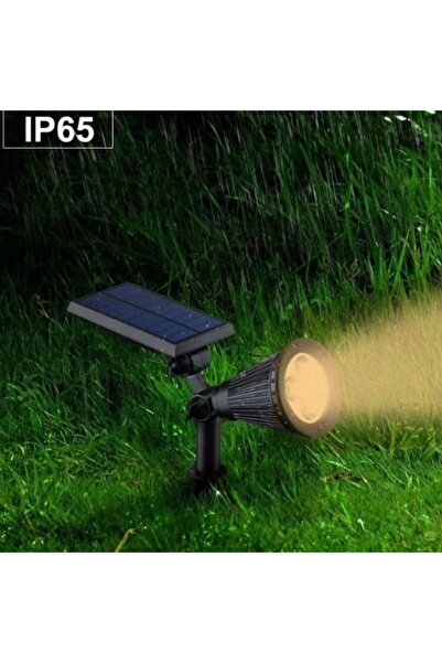 Cata 7w CT-7310 Amber Solar Bahçe Armatürü Çim Kazıklı (GÜNEŞ ENRJİ ŞARJLI)