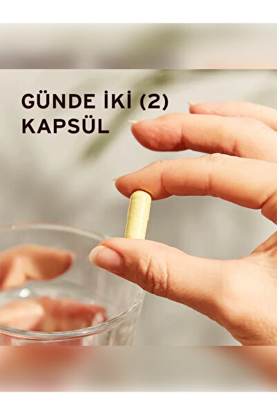 Solgar Quercetin Complex (Kuersetin Kompleks) 50 Kapsül