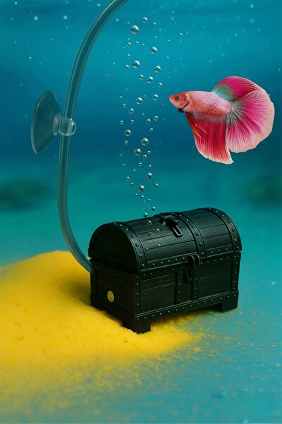 Akvaryum Hazine Sandığı Hava Taşı ( Siyah ) Akvaryum Hava Taşı Fanus , Küçük ...