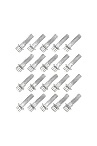 JSB Wheels Set 20 suruburi jante modulare argintii M7x24 mm