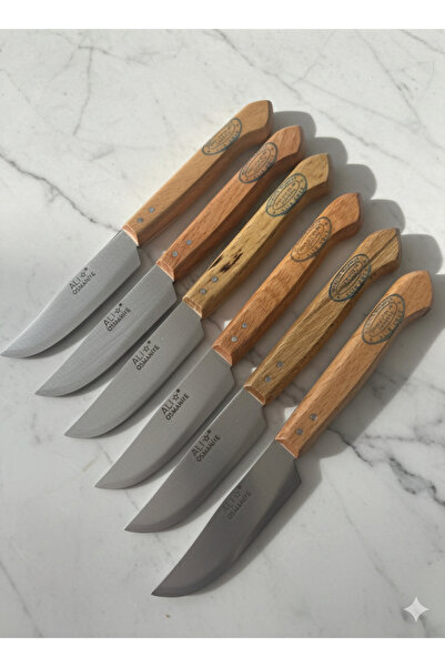 ALİBEYAVM Meyve Bicak Seti Kaliteli 6 Li Doğal Ahşap Sapli Meyve Bicagi_kitch...