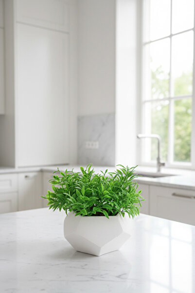 adresiburasi زهرة الريحان الخضراء في وعاء زهور خرساني حجري