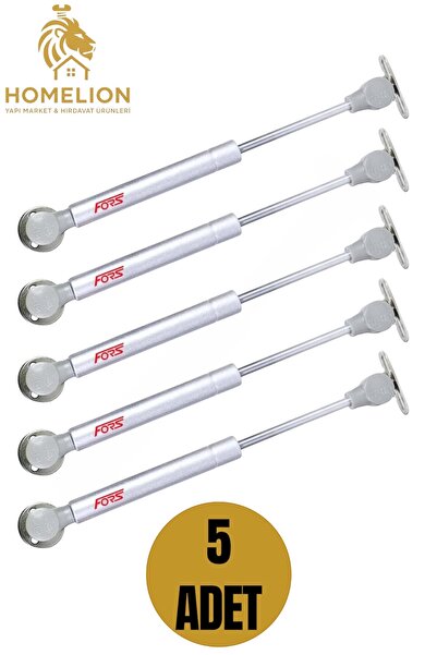 HOMELION 5 ADET Fors 100N Gri Dolap Kapak Pistonu – Amortisörlü Hidrolik Dest...