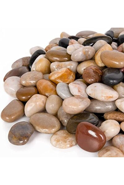 Goishtrie صخور زخرفية متنوعة الألوان، ناعمة ومصقولة، مناسبة لنباتات الحدائق و...