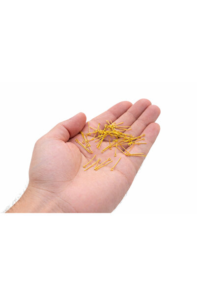 FlowerAksesuar 150 ADET - 25 mm TAKI ÇİVİSİ, HALKALI ÇİVİ, TAKI TELİ, KIVIRMA...