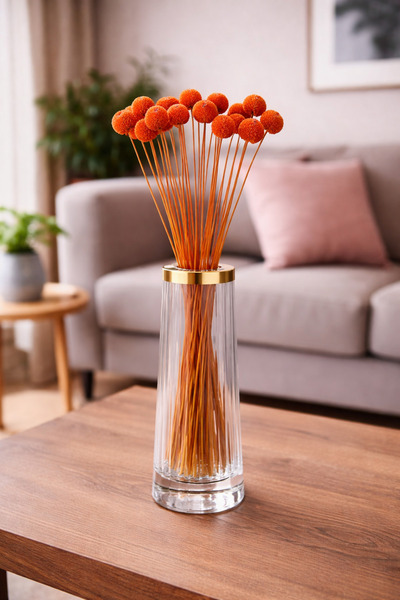 ÇINARASYADAHOME Kuru Çiçek Şoklanmış Craspedia  18-20 DAL