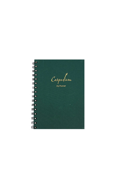 Be Online Carpediem Linen Perpetual Planner Agenda - 160 Pages