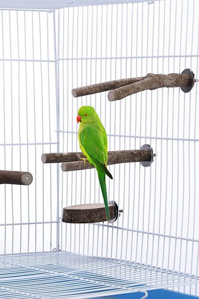 Alyones Roost Platform Cage Accessories 8Pcs Natural Wood Bird Perch Stand-wood Parrot Perch Stand