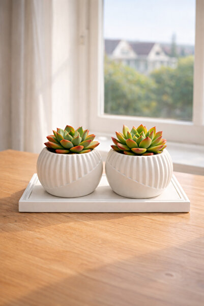 avake home SÜKULENT ÇİCEK DEKORATİF SAKSISI MERMER GÖRÜNÜMLÜ