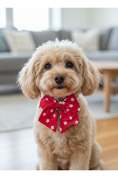 Patiset ربطة عنق للكلاب بنمط النجمة الحمراء - إكسسوار للحيوانات الأليفة يُعلق...
