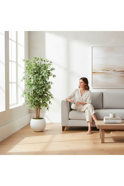 ERHAN FLOWERS Yapay Ficus Ağaç 150 cm Beyaz Küre Saksı