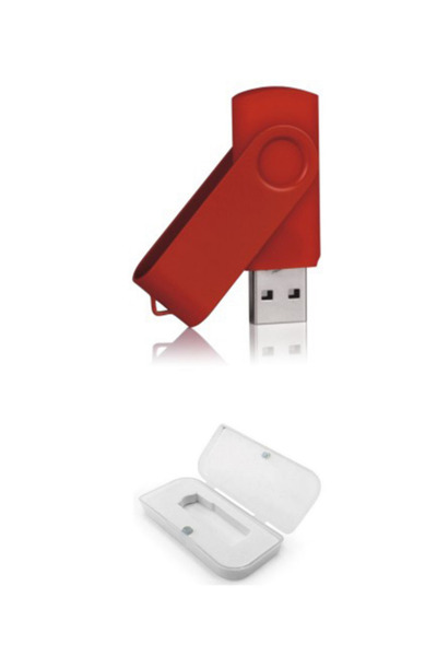 Golden Tech Metal Head Flash Memory and Plastic Box