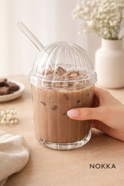 NOKKA Borosilicate Glass with Straw and Glass Lid, Heat Resistant, Coffee Cup, 450 ml