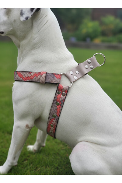 balkonda Dog Collar Medium and Large Breed Adjustable Column Cord Beige & Orange