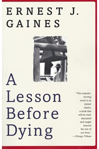 Vintage Books USA O lecție înainte de a muri