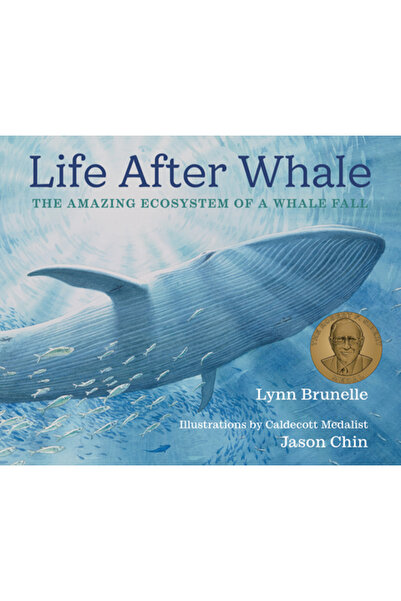 Neal Porter Books Viața după balenă: Ecosistemul uimitor al căderii unei balene