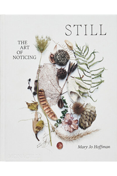 Monacelli Pr Încă: Arta de a observa