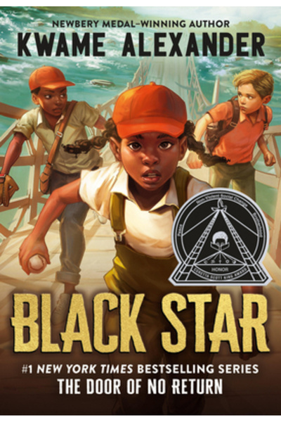 Little Brown Books For Young R Steaua neagră