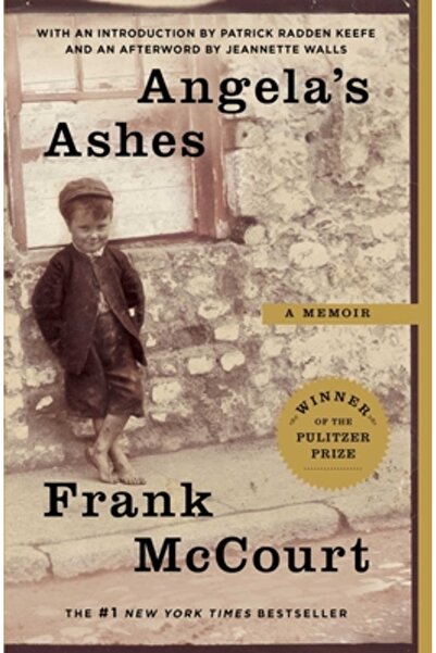 Scribner Book Company Cenușa Angelei