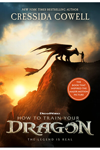 Little Brown Books For Young R How to Train Your Dragon