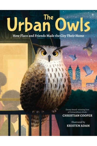 Little Brown Books For Young R Bufnițele Urbane: Cum Flaco și prietenii lor a...