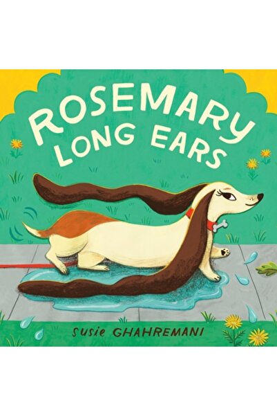 Little Brown Books For Young R Rosemary Urechi Lungi