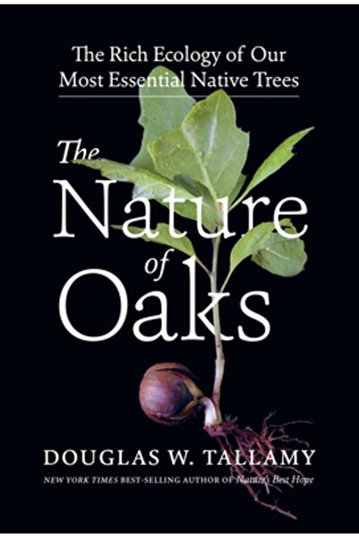 Timber Pr Inc Natura stejarilor: bogata ecologie a celor mai importanți copac...